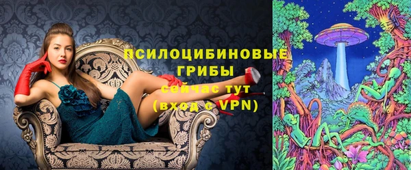 синтетический гашиш Протвино