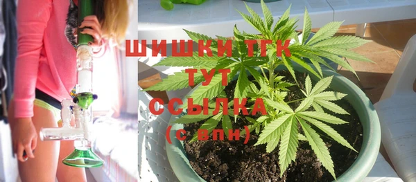 прущие грибы Арсеньев