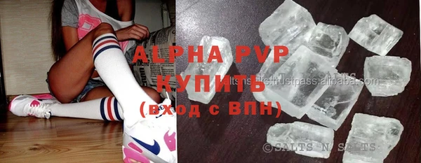 прущие грибы Арсеньев