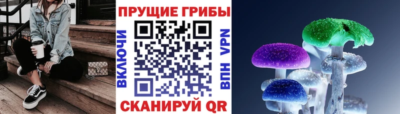 что такое наркотик  Стародуб  Галлюциногенные грибы MAGIC MUSHROOMS 